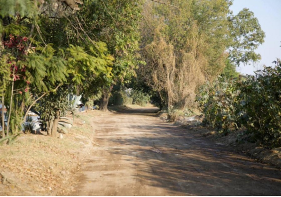 foto camino
